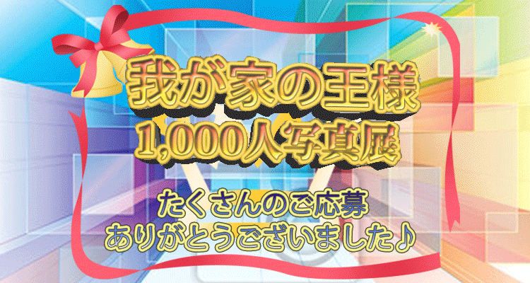 我が家の王様1000人写真展2019