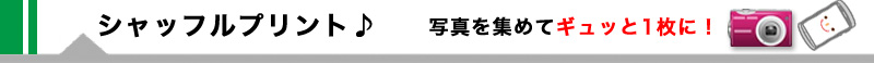 シャッフルプリントはたくさんの写真をランダムに配置し、1枚のプリントに仕上げます。