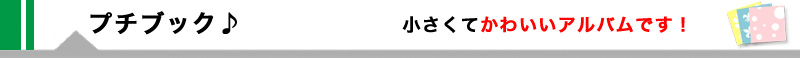 プチブック　小さくてかわいいアルバムです。