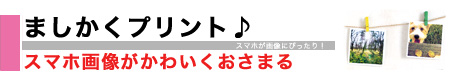 ましかくプリント