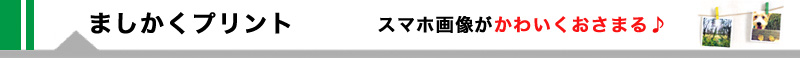 89×89mmの新しいプリントサイズができました！