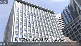 ティードリーム制作実績